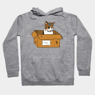 Cookie Dough and the Spaceship S1E2 | Calico Cat, Box, Aviator Hat Hoodie